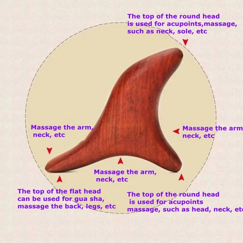 for Back Leg Hand Face 1 PC Ne - огляд і ціна Home Gym Manual