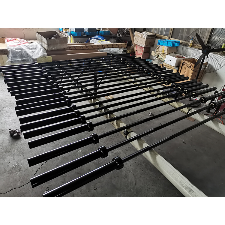 Hot Sale High Cost Performance - огляд і ціна Olympic Barbell 20Kg